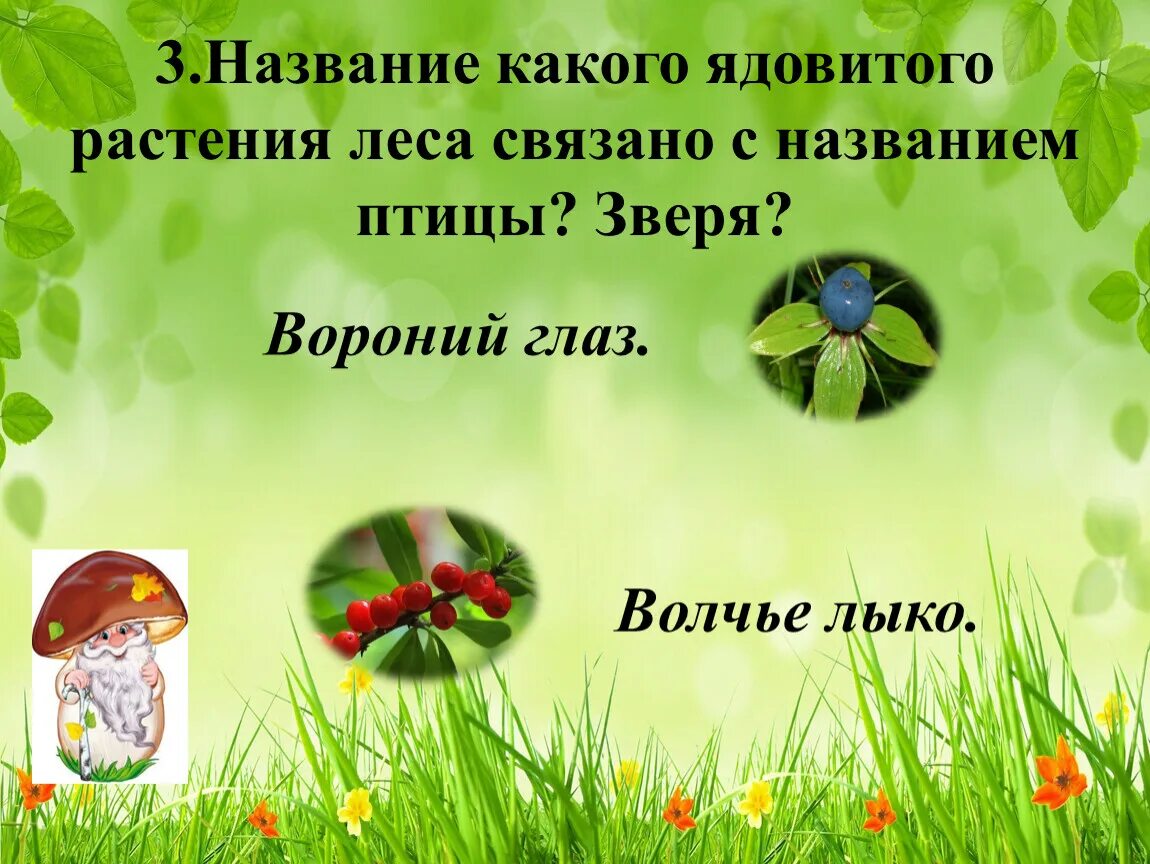 Какие животные связаны с растениями приведи примеры Картинки КАК ЧЕЛОВЕК СВЯЗАН С РАСТЕНИЯМИ
