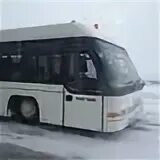 Автобус аэропорт савино