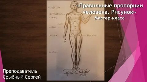 5 правильных пропорций