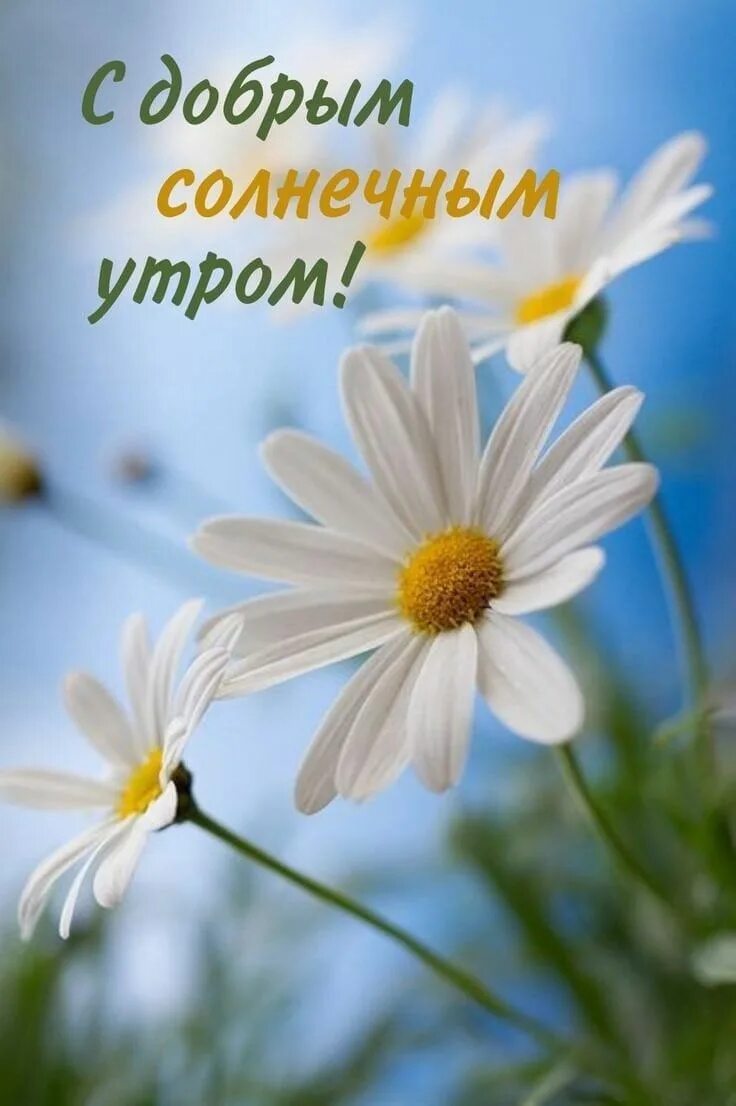 Кафе «У пани Сони»