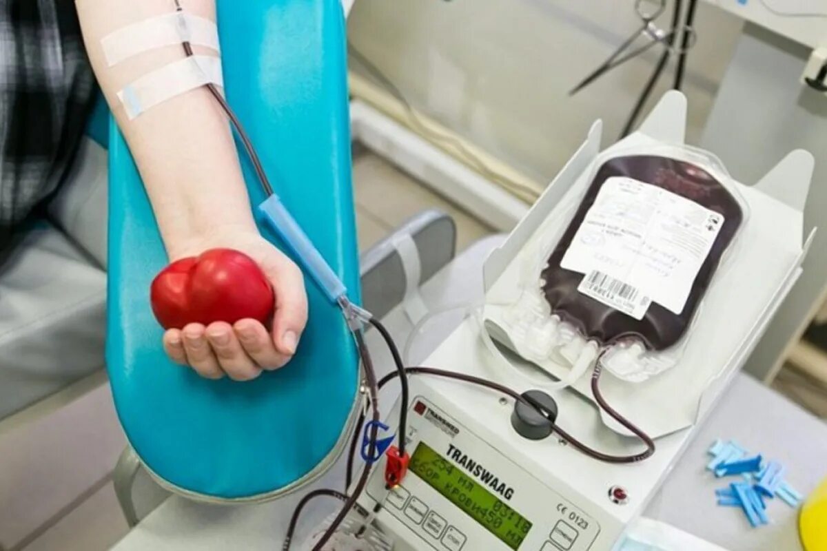 Станция переливания крови Петропавловск-Камчатский. Сдача крови. Сдать кровь после родов