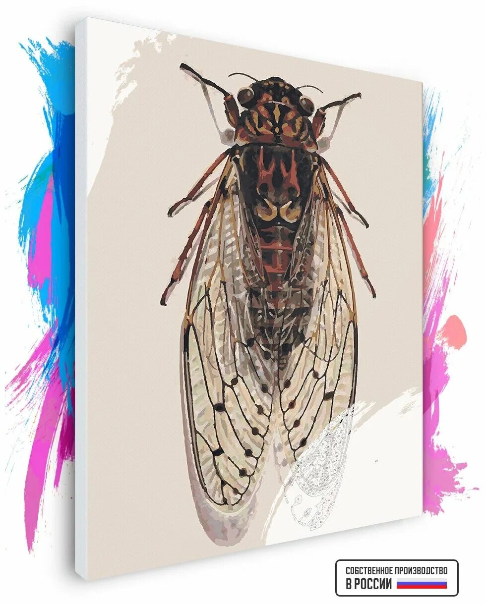 Муха сирфида. Номер мухи. Муха навозная зеленая. Муха. Муха.