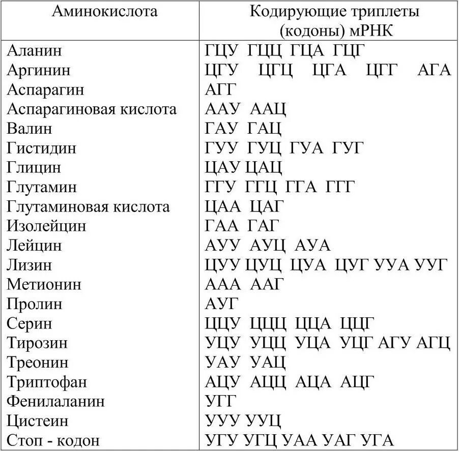 Таблица кодонов аминокислот. 20 Аминокислот таблица аминокислоты. Названия аминокислот таблица генетического кода. Таблица кодонов аминокислот ДНК.