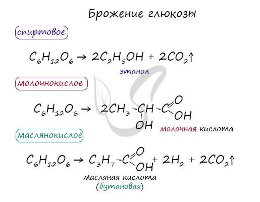 Реакция брожения Глюкозы формула. Спиртовое брожение Глюкозы формула. Реакция молочнокислого брожения Глюкозы. Спиртовое брожение Глюкозы уравнение реакции. Реакцией брожения глюкозы получают