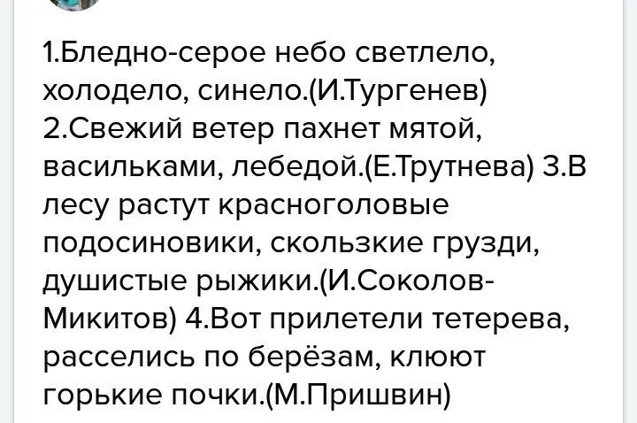 Бледный разбор. Бледно-серое небо светлело холодело. Бледно-серое небо светлело холодело синело схема предложения. Бедное серое небо светлело холодело синело свежий ветер. Бледно-серое небо светлело,холодело,синело- где обобщающее слово?.