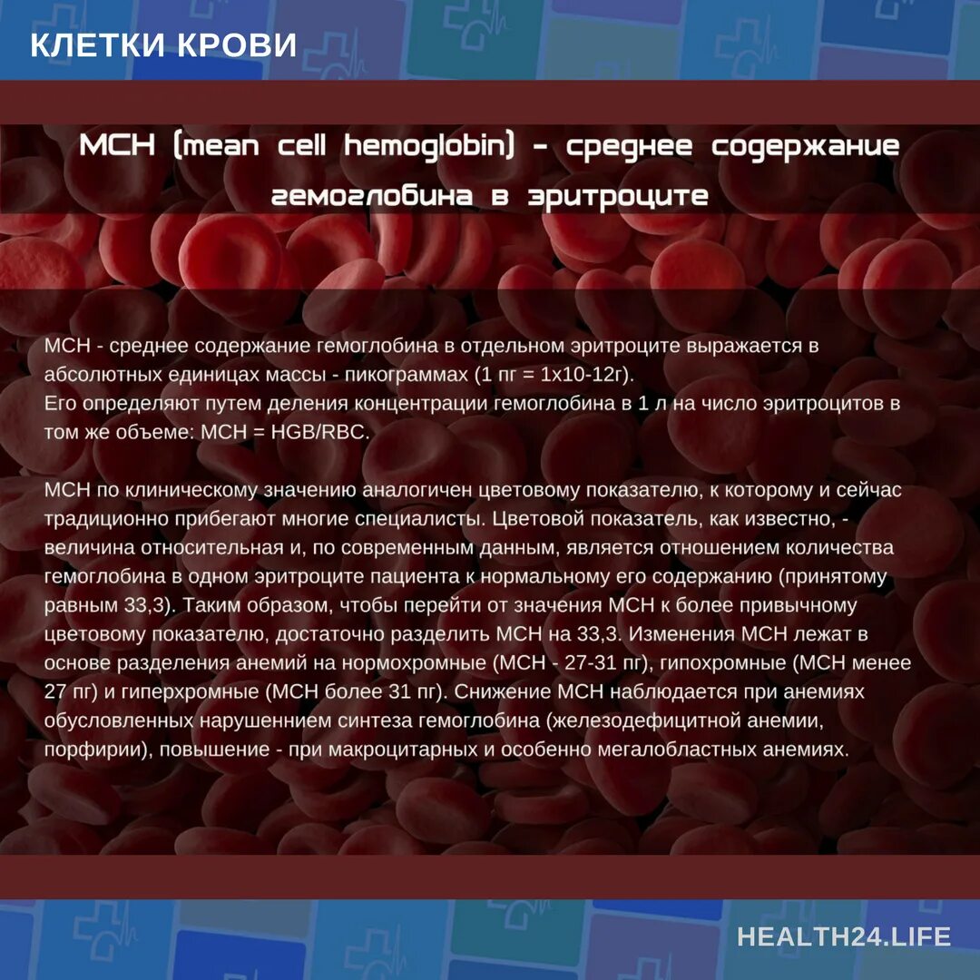 Повышение содержания гемоглобина. Повышение количества эритроцитов. увеличение количества эритроцитов в крови. цветной показатель эритроцитов. повышение содержания эритроцитов в крови..