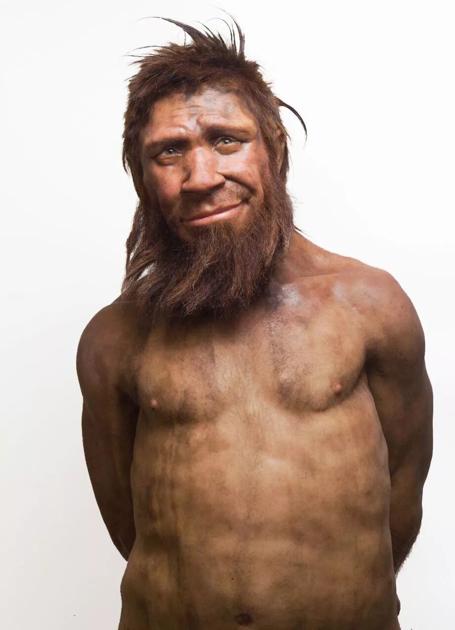 Неандерталец the neanderthal man, 1953. Человек разумный презентация. Неандерталец в полный рост. Homo sapiens человек разумный фильм 2005. Неандертальцем называют.