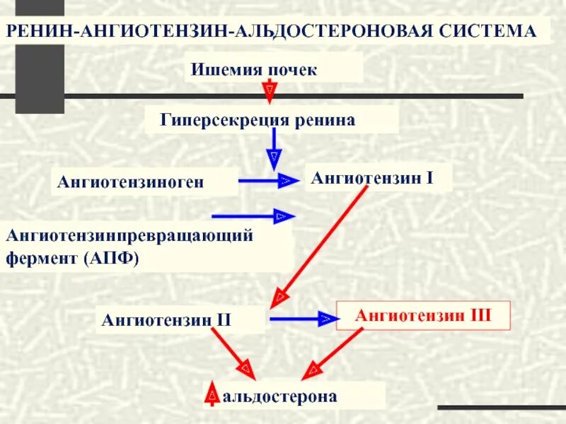 Повышение ренина