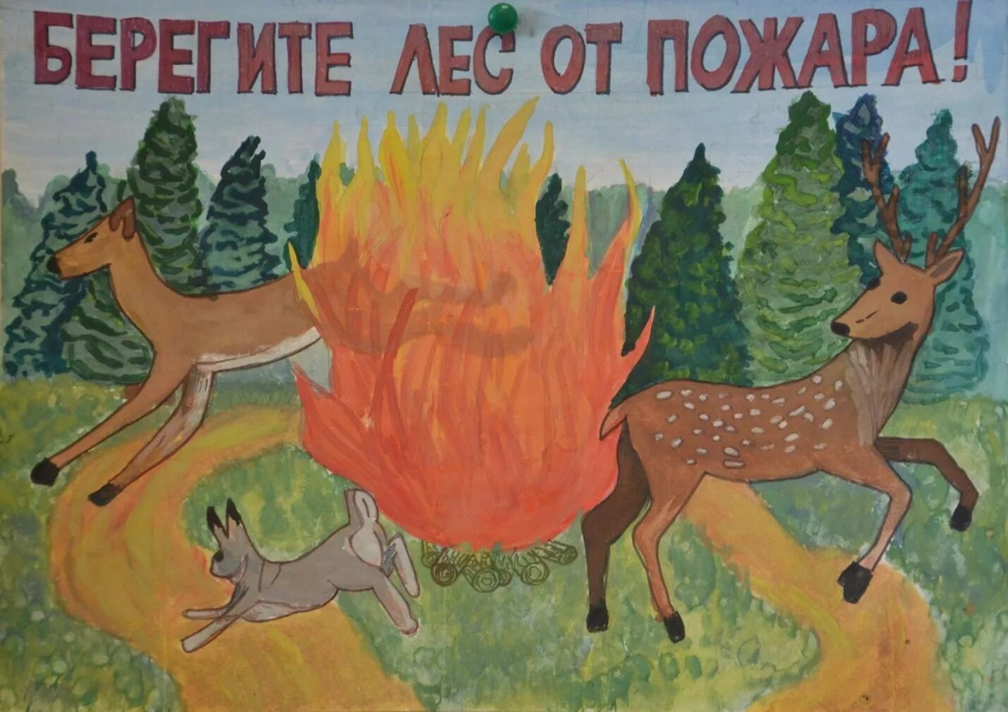 Нарисовать берегите леса. Берегите лес от пожара рисунки. берегите лас от пожара. плакат берегите лес от пожара. береги лес от пожара рисунки.
