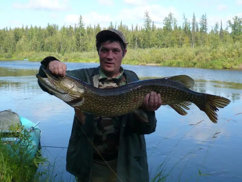 Река рыбная красноярский край. Сибирский таймень рыба. Рыбалка на реке красноярского края. Река фатьяниха красноярский. Рыбалка на реках красноярского края.