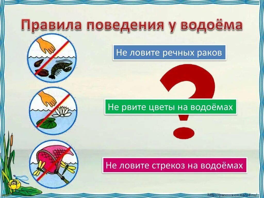 Правила проведения на водоёмах. Правила поведения на водоемах. Правила поведенияуводоемах\. Знаки правил поведения у водоема. Окружающий мир жизнь пресных водах