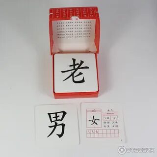 Шпица учит китайский язык