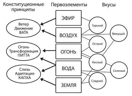5 вкусов человека