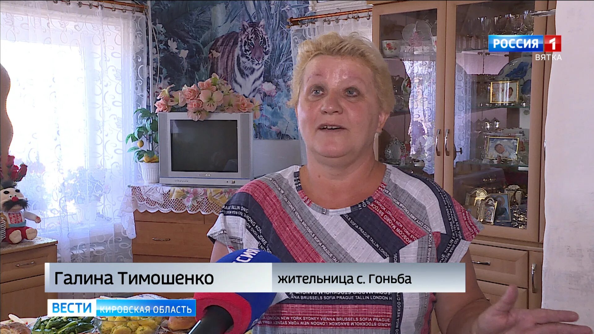 Погода в гоньбе кировская область малмыжский