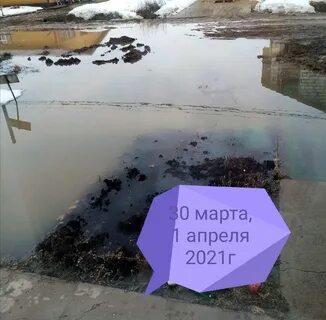 Залили первом