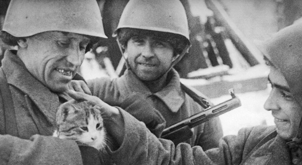 http://www.reddit.com/r/HistoryPorn/comments/21549h/a_french_legionnaire_carries