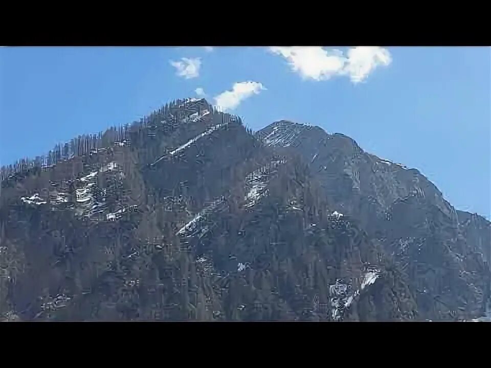Альпа видео. Альпа видео
