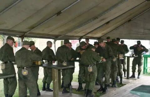 Организация полевых