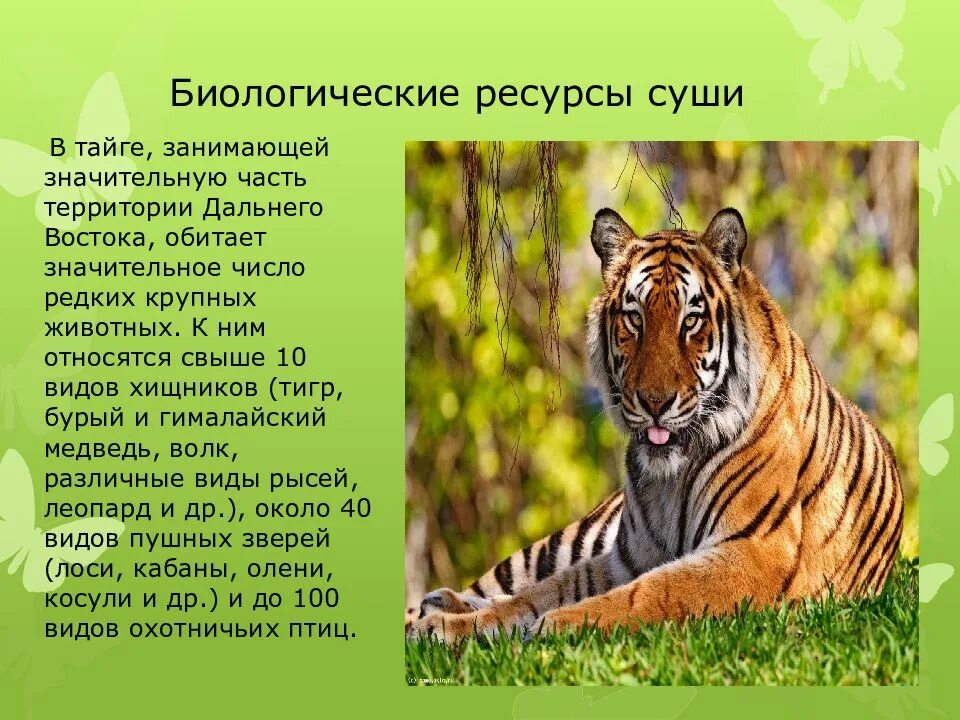 Ресурсы биоразнообразия. Биологические ресурсы суши. биологические ресурсы дальнего востока. биологические ресурсы дальнего востока презентация. биологические ресурсы россии.