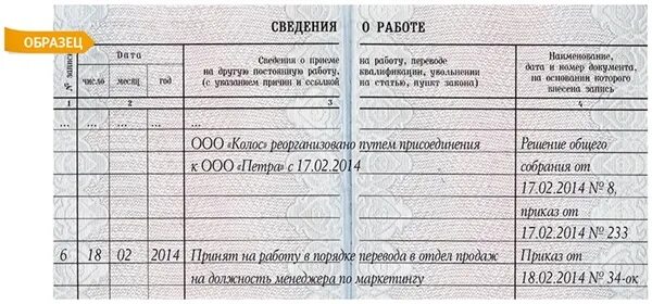 Запись в трудовой об увольнении директора. Увольнение в связи с ликвидацией запись в трудовой книжке. Запись в трудовой книжке при ликвидации предприятия. Запись в трудовую книжку при увольнении в связи с ликвидацией. Запись в трудовой о реорганизации в форме присоединения.