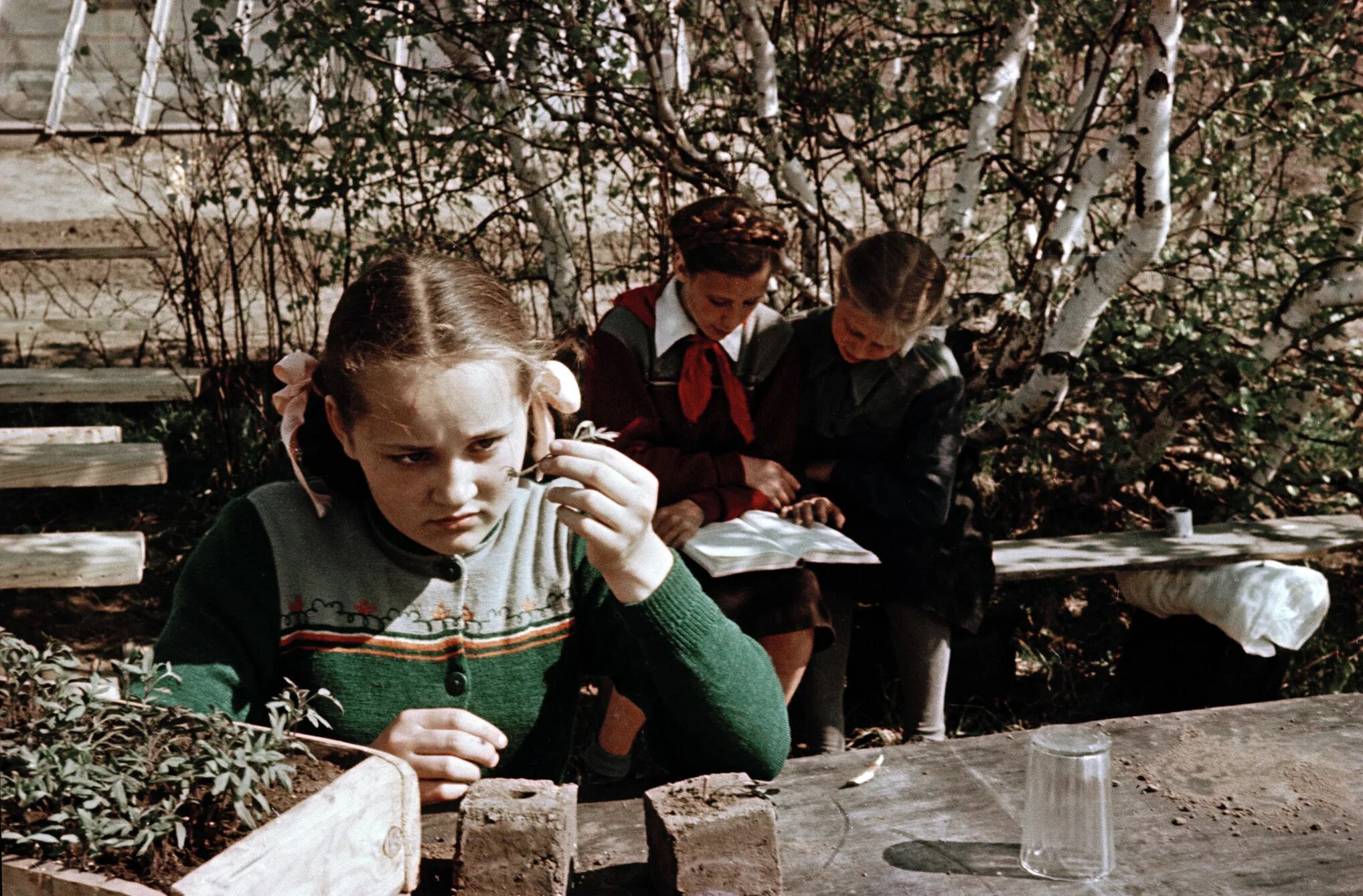 юннаты россии. юннаты движение первых. движение 1 юнаты. пионеры юннаты. урок экологии.