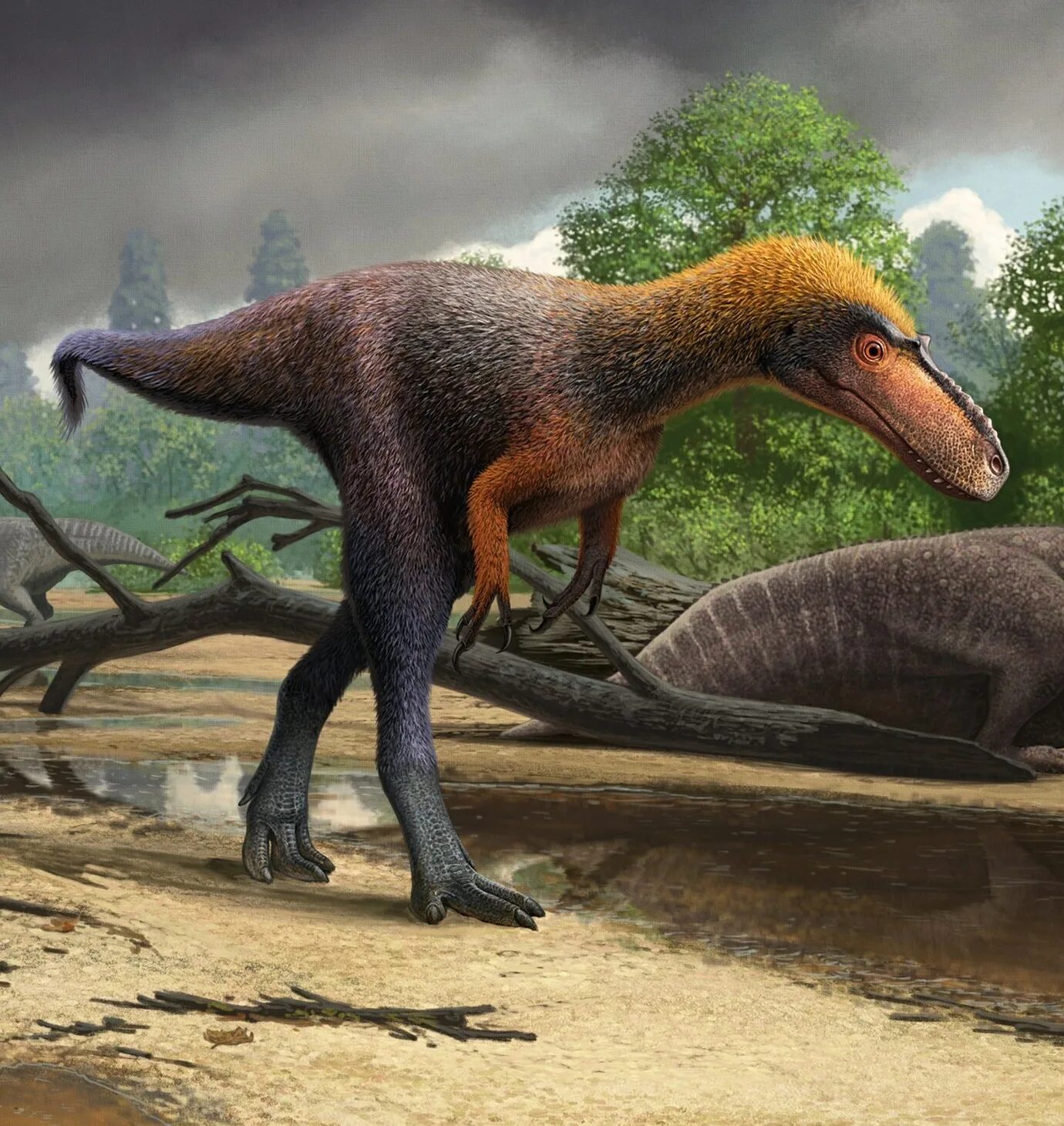 Тираннозавр Атучин. Атучин кулиндандромей. Тираннозавр динозавры мелового периода. Новые динозавры.