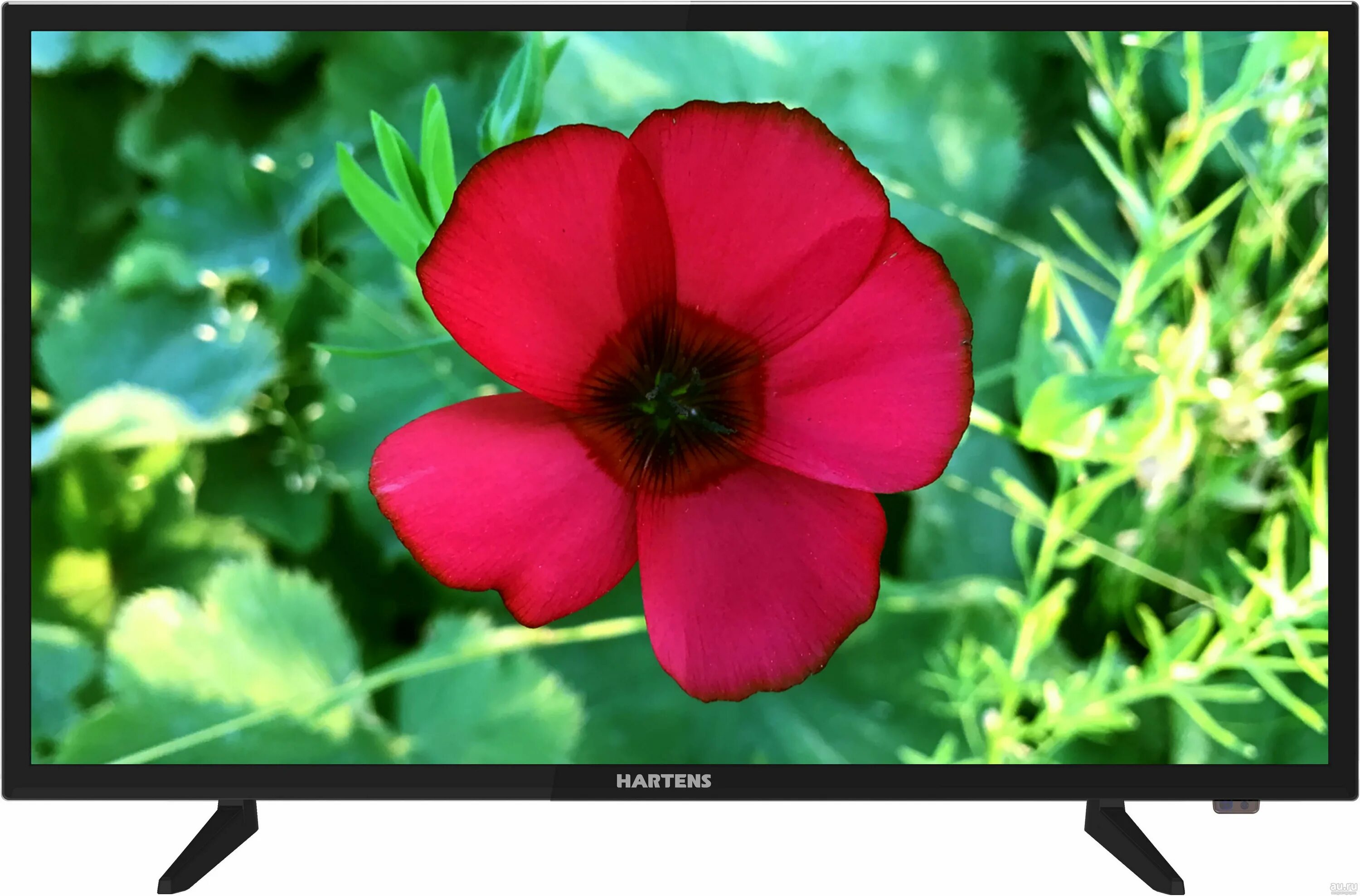 Hartens HTV-32hdr03b. Телевизор hartens HTV-40f01-t2c/a4/b 40" (2019). Телевизор hartens HTV-32hdr06b. Телевизор hartens hty 24