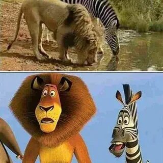 E real