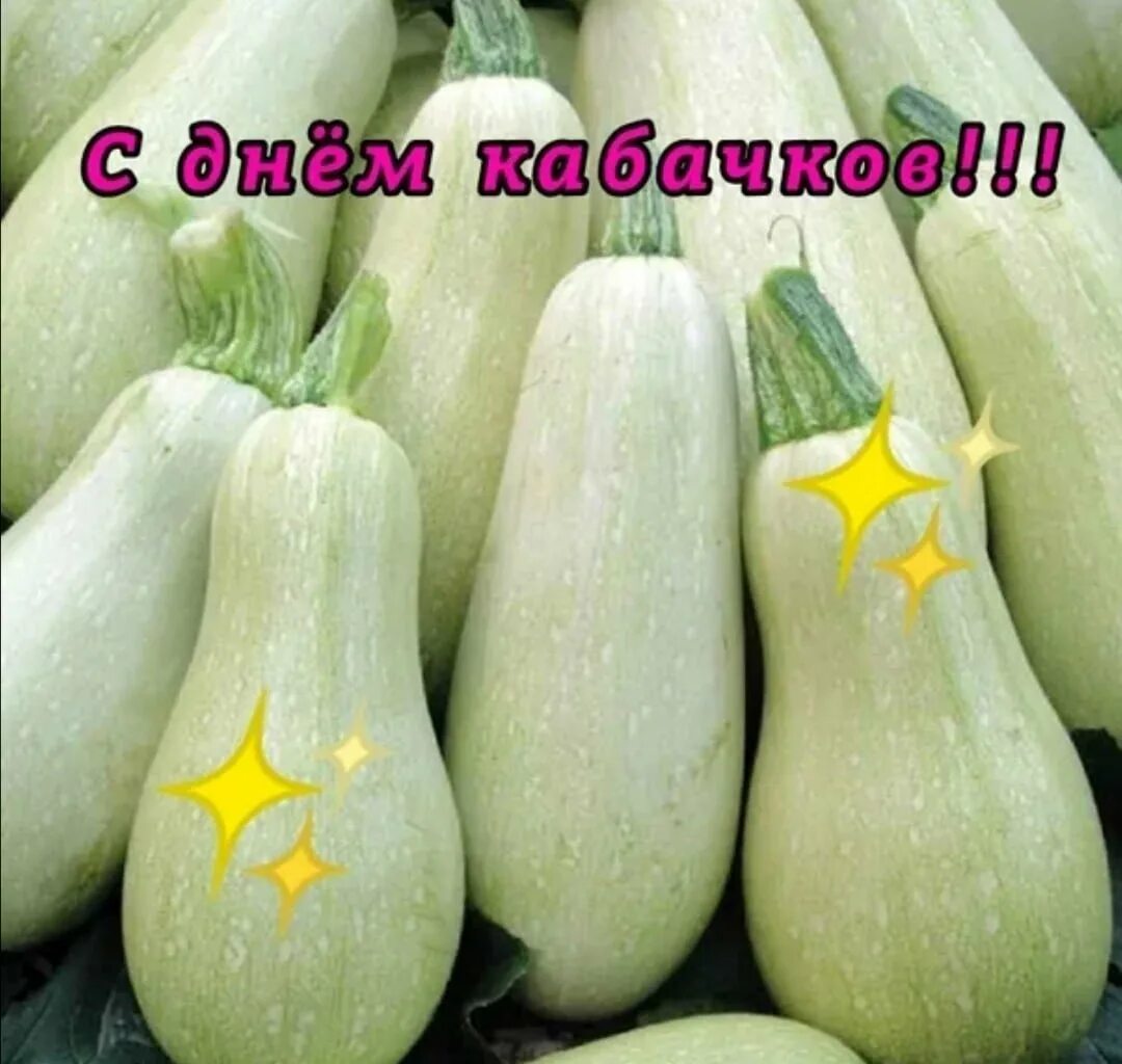 День цуккини. День цуккини. Цукини. День цуккини. Цукини и кабачки.