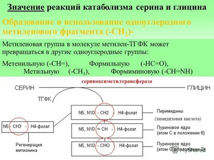 Глицин из серина