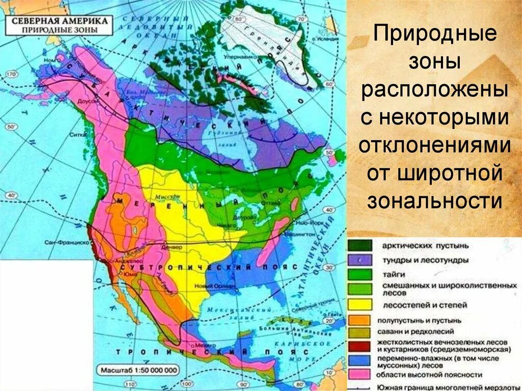Природные объекты расположены на территории сша. Карта климатических поясов и природных зон Северной Америки. Карта природных зон Северной Америки. Карта природных зон Северной Америки 7 класс. Карта природных зон Америки.