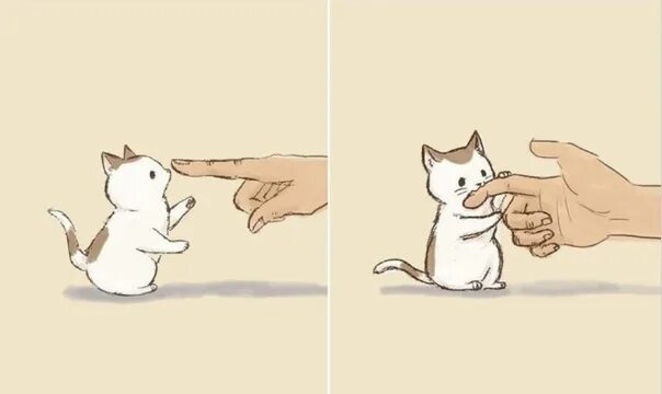 Подбери кота. Внутри кота теплота. что внутри кота. внутри кота теплота картинки. коту не страшны холода внутри кота теплота.