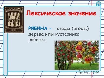 Проверочное слово к слову рябина