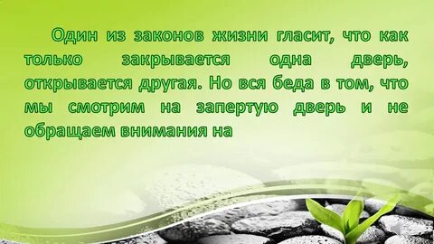 Цитата гласит