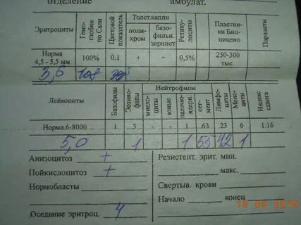 Болит живот какие анализы сдать