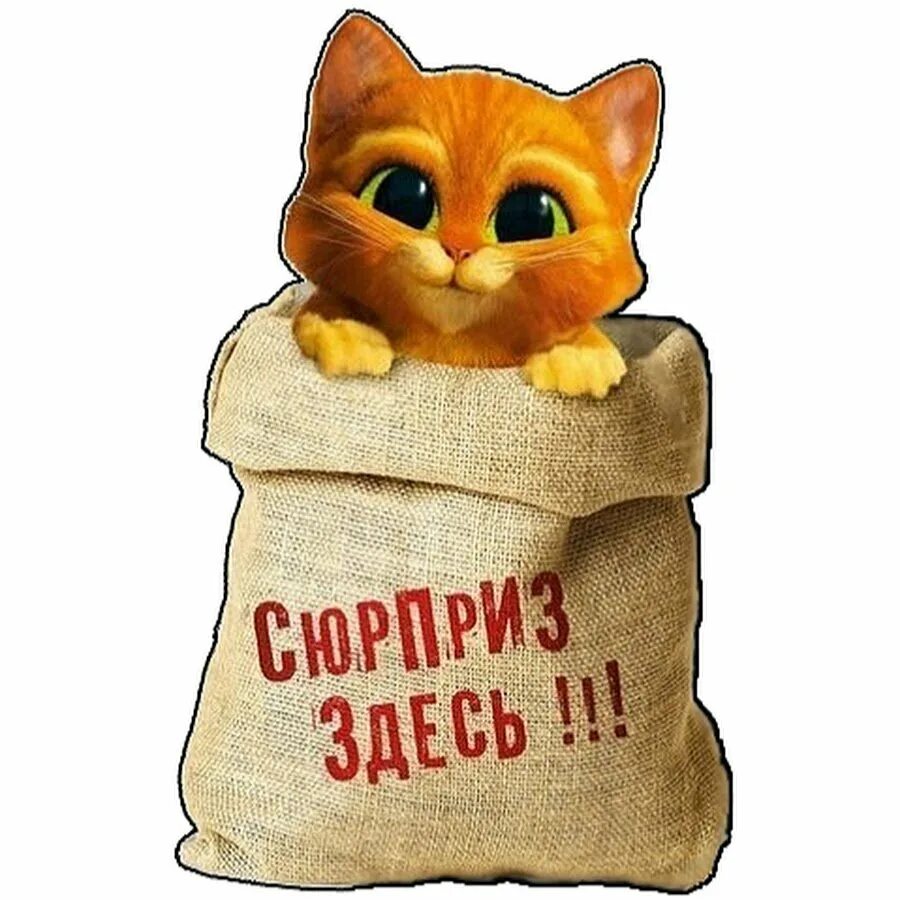 Кот в мешке пословица. Кот в мешке. кот в мешке рисунок. кот в мешке фразеологизм.