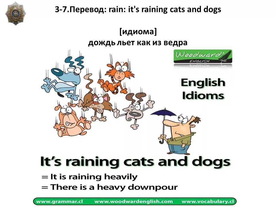 It s raining cats. Идиомы it's raining Cats and Dogs. Rain Cats and Dogs идиома. Raining Cats and Dogs идиома. Rain Cats and Dogs идиома перевод.