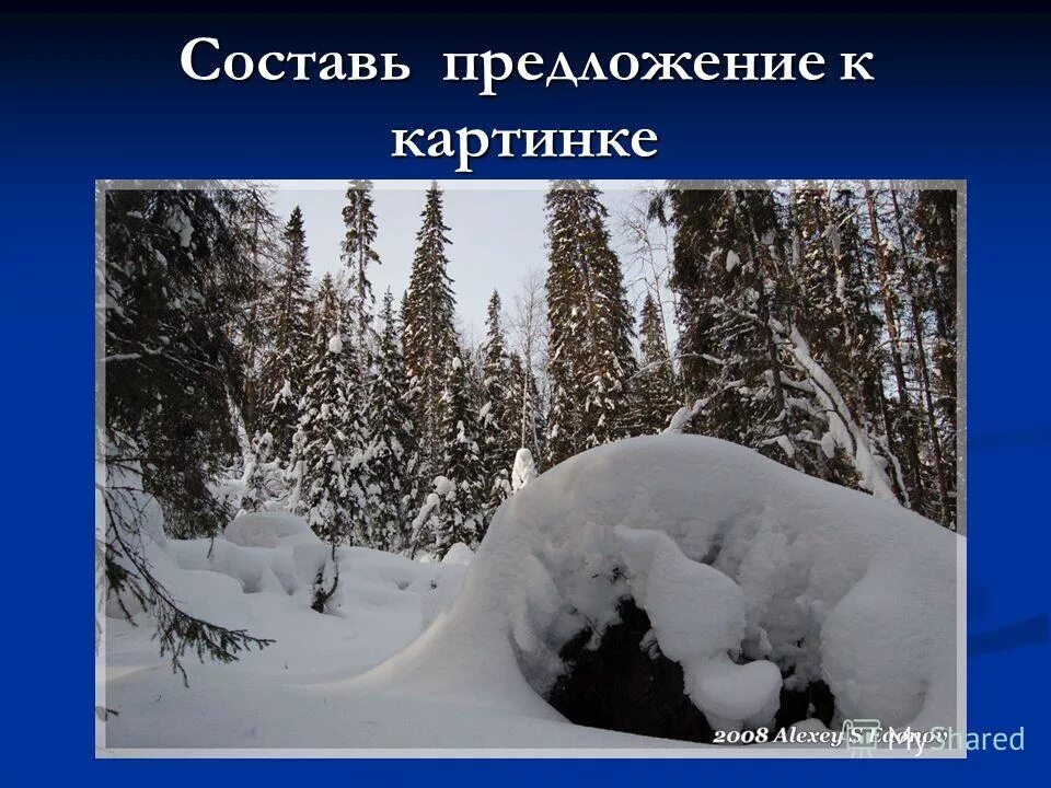 Под сугробом в своей берлоге дремлет. Медведь зимой в берлоге. медвежья берлога зимой. медведь в зимнем лесу.