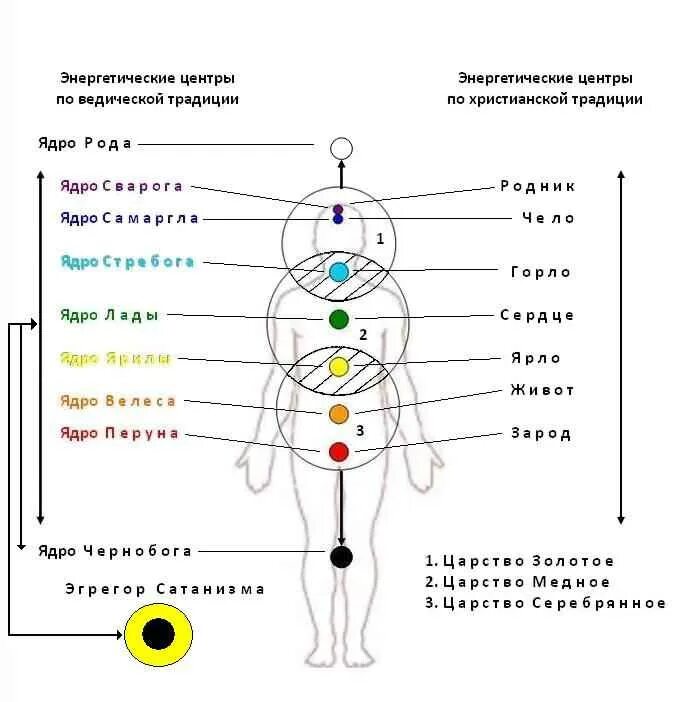 Чакры человека 7 чакр энергетики. Чакры Аджна и Сахасрара. Чакры человека схема. Чакры и их связь с органами тела. Чакры названия и расположение