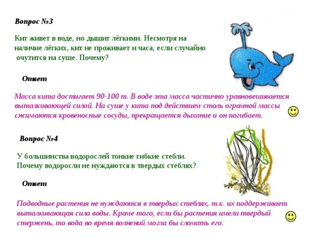 Где живет кит 1 класс рабочая. Как дышит кит. Киты дышит лёгкими. Почему киты живут в воде. Кит живет.