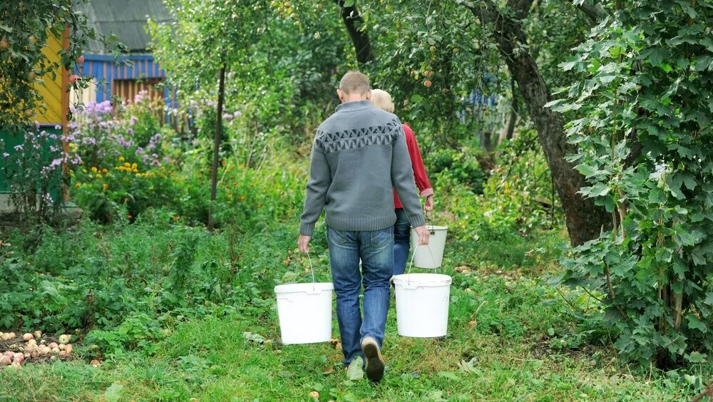 Несет ведро. Мужчина несет ведро. Мужчина несет ведро с водой. Несет воду в ведрах.