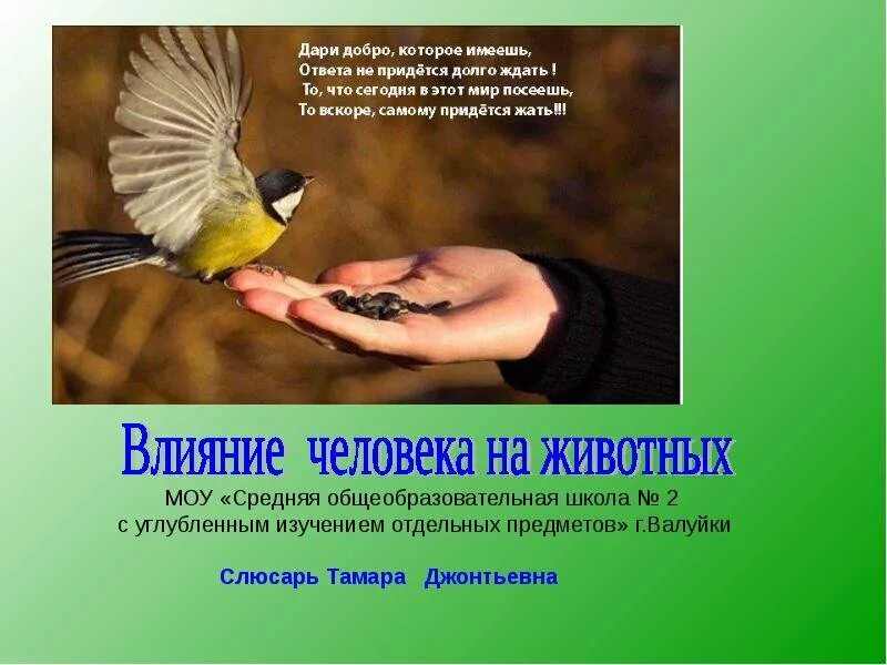 Какого влияние человека на животных. Влияние человека на животных. презентация воздействие человека на животных. влияние деятельности человека на животных. презентация на тему влияние человека на животных.