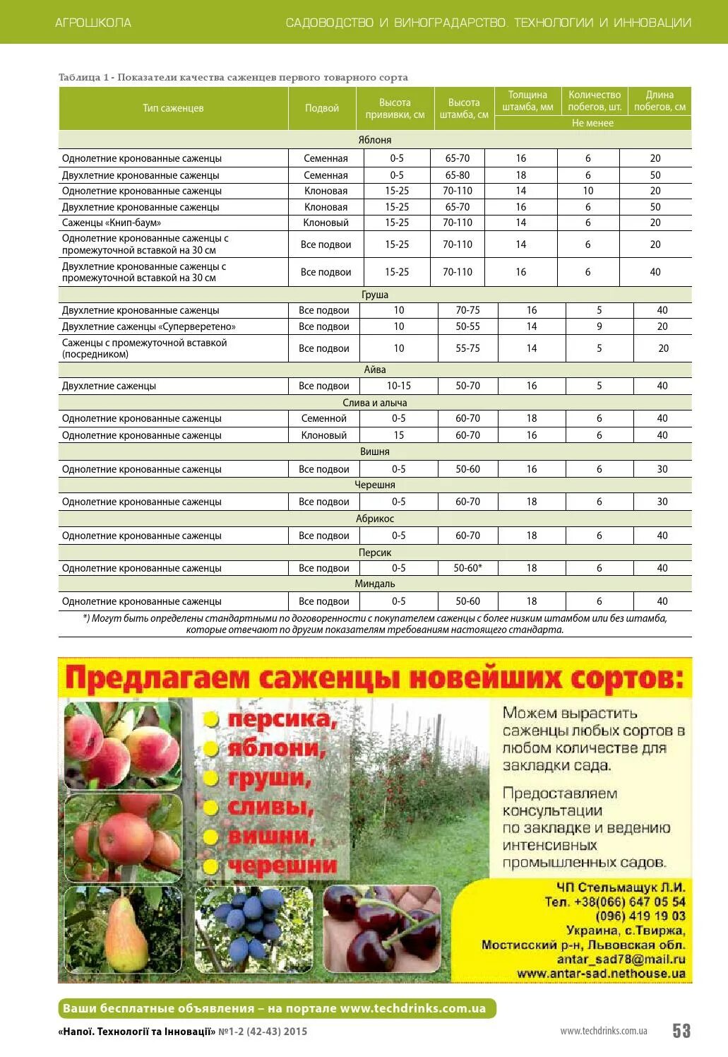 Сайт института садоводства и виноградарства краснодар. Таблица всех саженцев. Каталог посадочного материала. НИИ садоводства в Бирюлево питомник саженцы цена. Садоводство и виноградарство требования таблица география 9 класс.