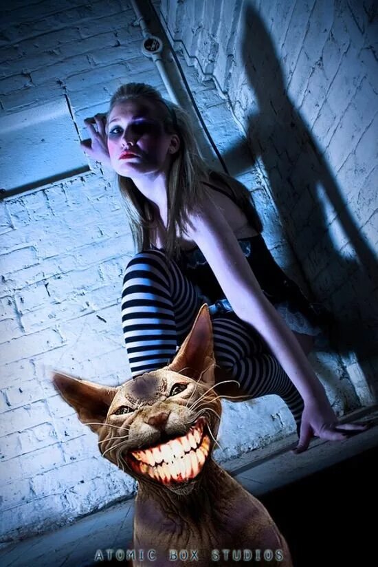 алиса алиса найди. алиса в зазеркалье шахматная королева. машина алиса. Alice madness returns xbox.