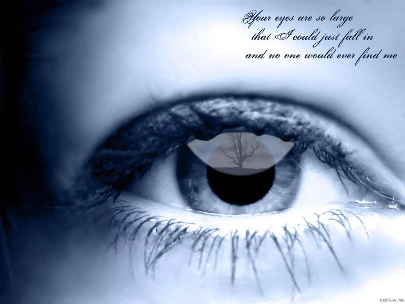 Цитаты про глаза. Красивые ассоциации с карими глазами. Глазам красиво выражение. Глаз на черном фоне рисунок карандашом. Парижские коричневые глаза.