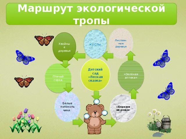 Тема экология доу. Экологическая тропа в детском саду в соответствии с ФГОС схема. Карта экологической тропы в детском саду. Экологическая тропа для дошкольников в детском саду. Эскиз экологической тропы в ДОУ.