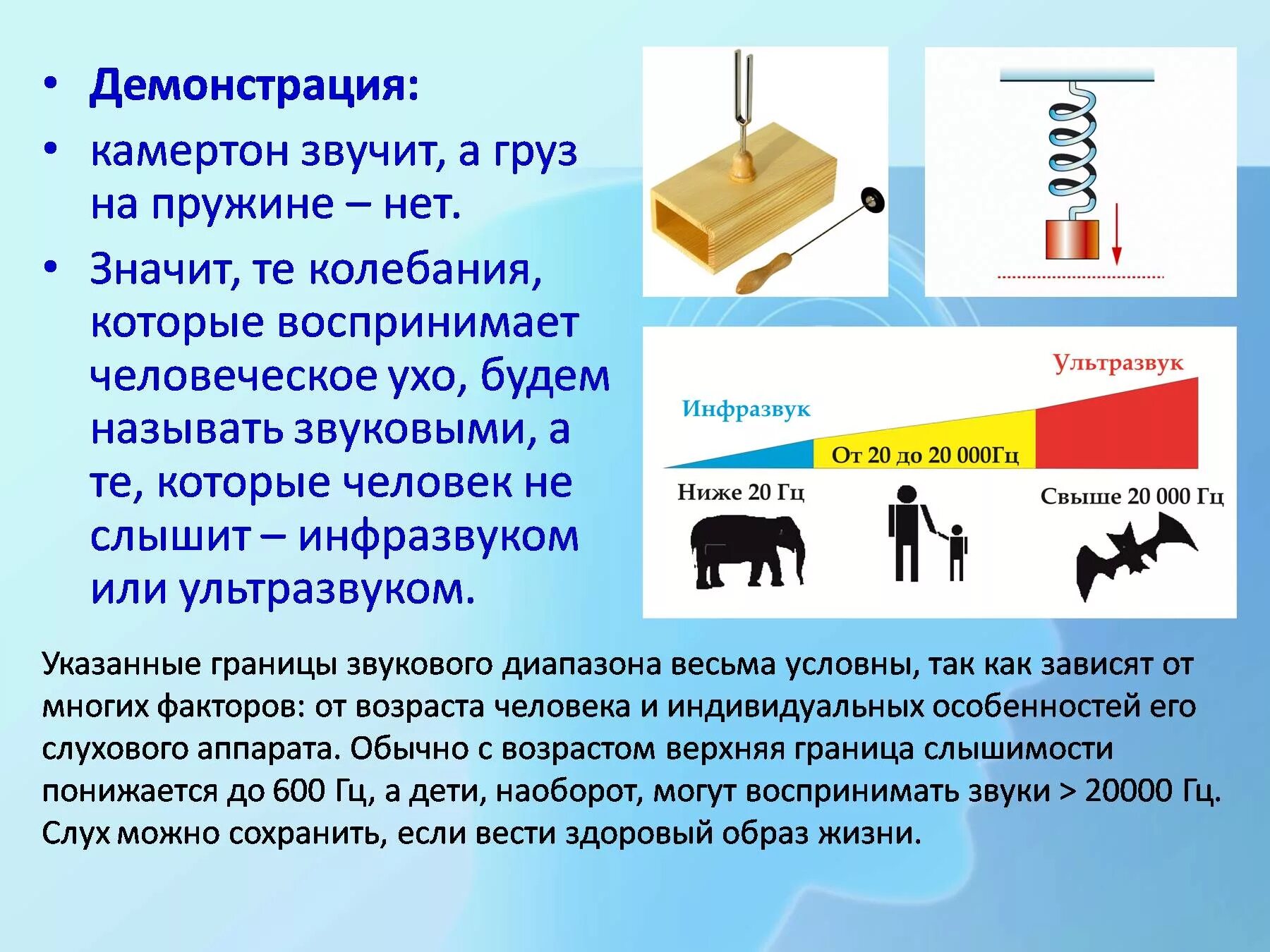 Ультразвук человек слышит. Человек может слышать ультразвук. Животные которые могут слышатт ультра звук и нфрозвук. Может ли человек слышать ультразвук. Слышу ультразвук