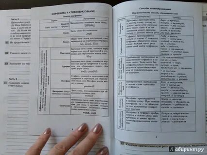 Русский язык 7 класс комплексная