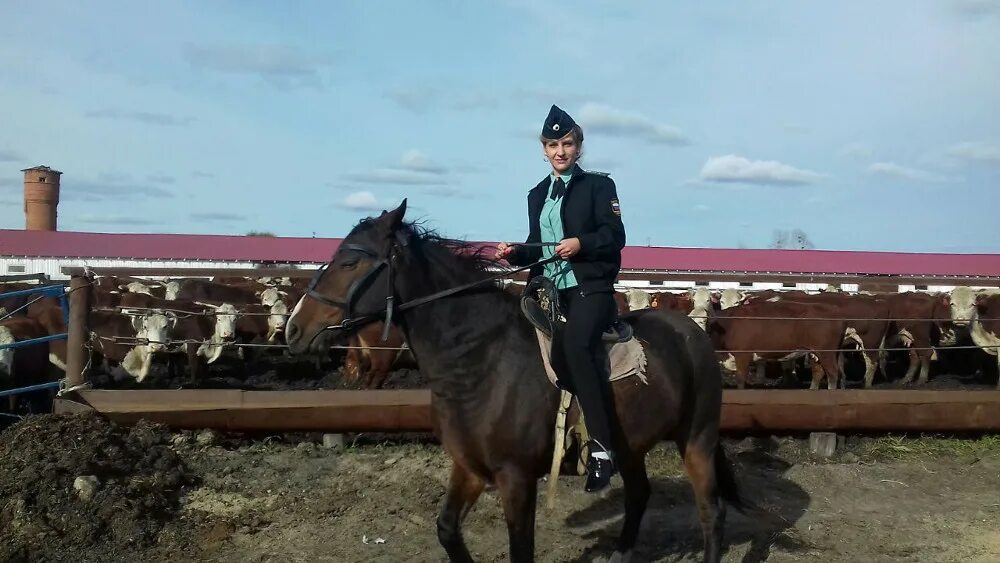 Приставы белогорск амурская область. Амурская область верховая езда. Лошади в Амурской области Константиновском районе. Кони база Белогорск. ФССП конный спорт.