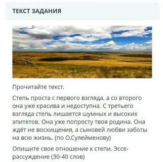 По крайнему к степи проулку январским